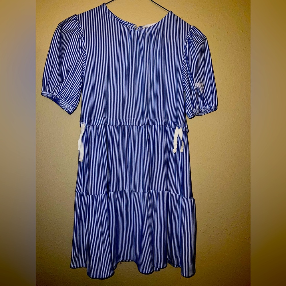 Zara dress
